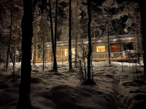 A unique lakeside cottage, Rovaniemi